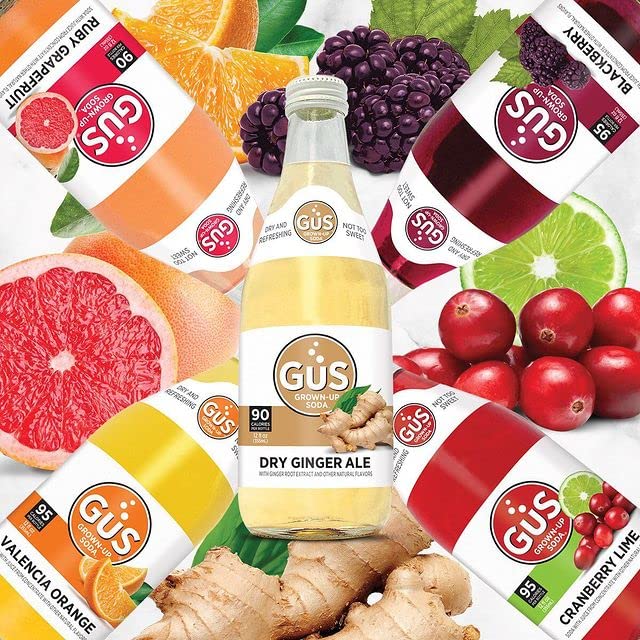 GuS Grown-Up Soda | Lightly Sweetened Sodas with Real Juices | 12 Fl Oz (Pack of 24) (Dry Valencia Orange)