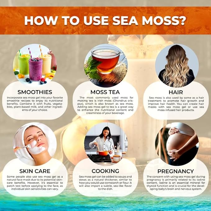 Irish Sea Moss Gel Raw - Wildcrafted Superfood Seamoss Gel - Apple Cinnamon Flavor Vitamin and Mineral-Rich from Pristine Caribbean Waters Immune and Digestive Health Support - 10 oz