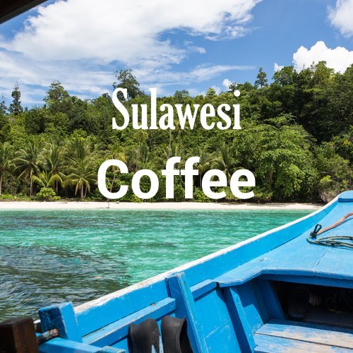 Sulawesi Coffee Celebes Kalossi Ground Fresh Roasted 16-ounce