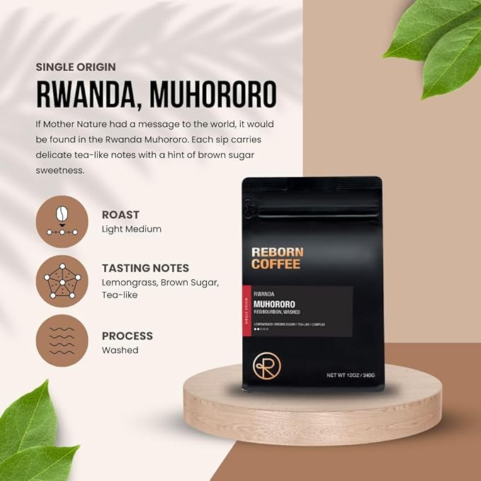 Reborn Coffee Specialty Whole Bean Coffee – Rwanda Muhororo – Light-Medium Roast Single Origin 100% Arabica Beans – Floral and Berry Notes with Bright Acidity Freshly Roasted for French Press Kali