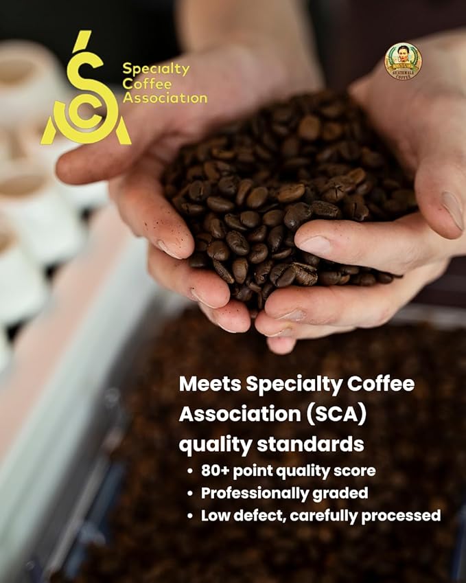 VIA Guatemala Coffee – Guatemala Medium Roast Ground Coffee Single-Origin Arabica Mayan Warrior 16 oz