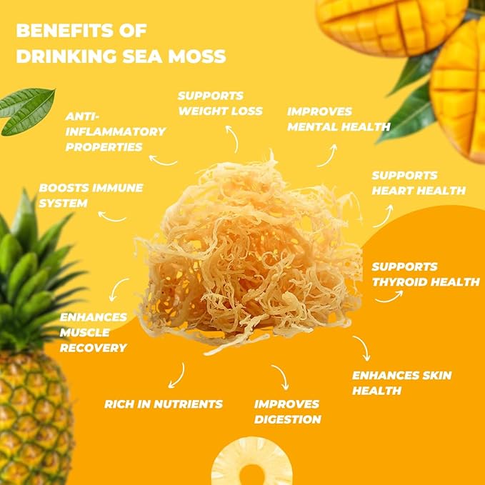 Nourish Kings- Sea Moss drink with Dragon Fruit Mango Pineapple and Orange Juice No Added Sugars or Preservatives 12 pack of 15.2 Fl oz Bottles