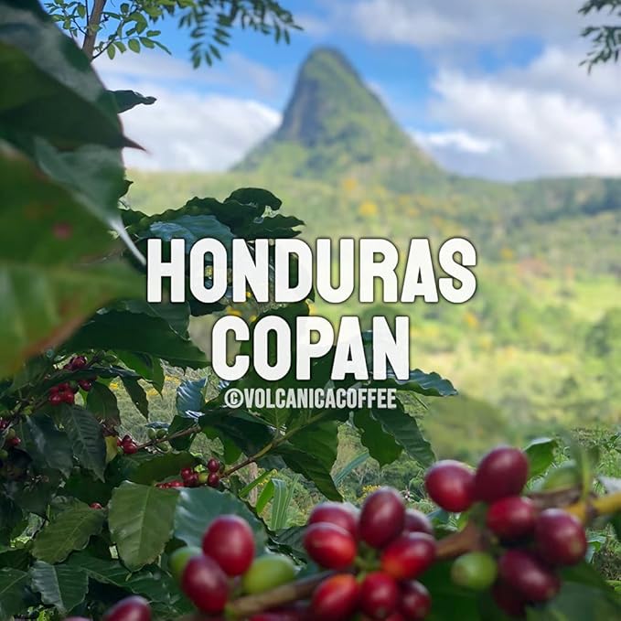 Honduras Coffee Copan Region Ground Fresh Roasted 16-ounce