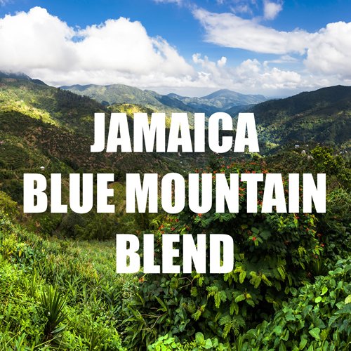 Jamaica Blue Mountain Coffee Blend Ground Fresh Roasted 5 lbs