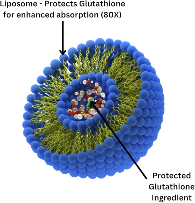 Research Labs Liposomal Glutathione Supplement w/Gluta-IV™ 100x Enhanced Absorption Over Powder Glutathione. 2 Fer 1 Ad 120 Total Liposomal Softgels