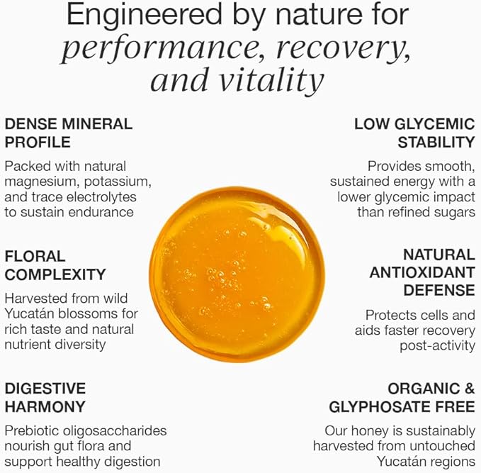 HNY+ Organic Honey Energy Gel with Electrolytes Magnesium Sea Salt &amp Potassium Gluten Free &amp Vegan Workout Gels for Gym Running Cycling &amp Hiking Sports Nutrition Caffeine Free 12