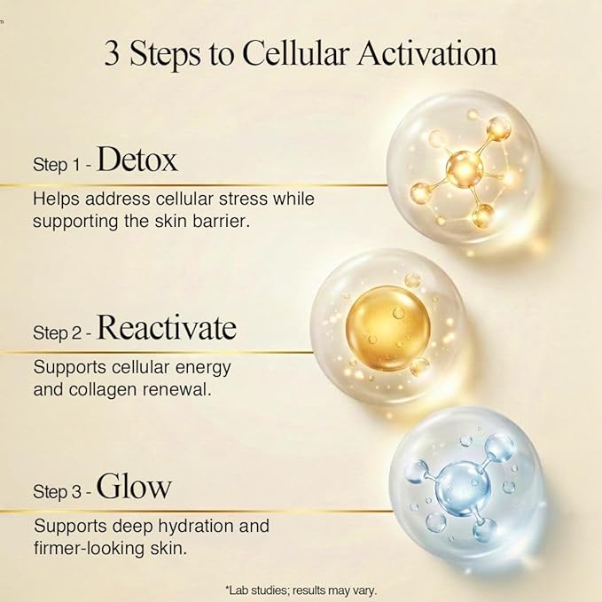 BI-SU Bird's Nest Essence Collagen Jelly Stick with Vitamin C Fish Collagen Peptides Anti Aging Maintain Skin Elasticity Immunity Support Japan Beauty Skin Care Secret Rose Flavor 7 PCS