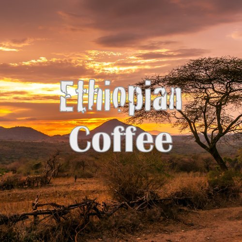 Signature Coffee Bundle Ground Medium Roast Fresh Roasted 3 X 16-ounce Guatemala Antigua Ethiopian Yirgacheffe Colombian Supremo Coffee