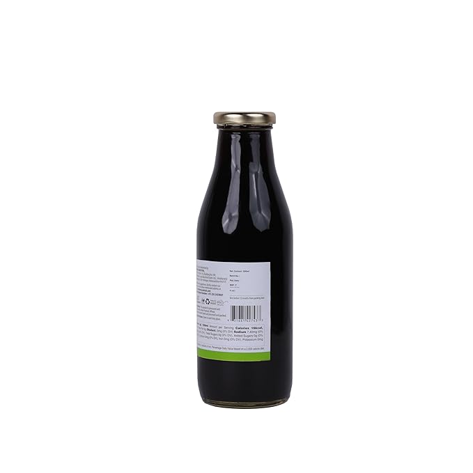 S Siddhagiri's SATVYK THE HEALTH re STORE Organic Amla Juice 500ml (17.63 OZ)
