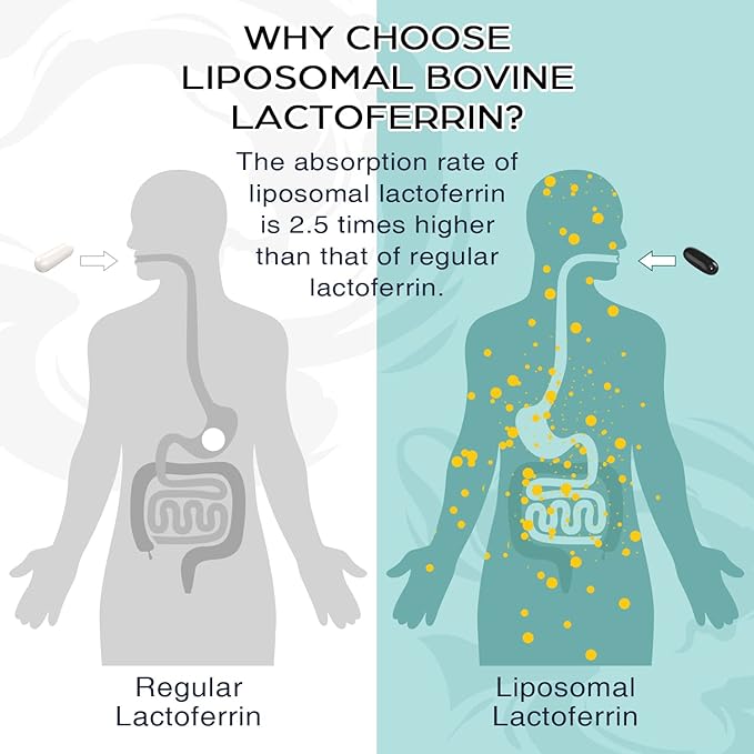 Liposomal Bovine Lactoferrin 1000 mg - for Iron Absorption &amp Immune Function Lactoferrin Supplements for Adults 60 Softgels (2 Bottle)