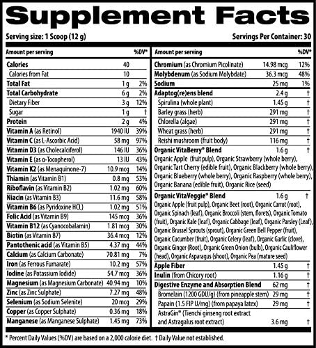 Vita Greens &amp Fruit Superfood (Apple)