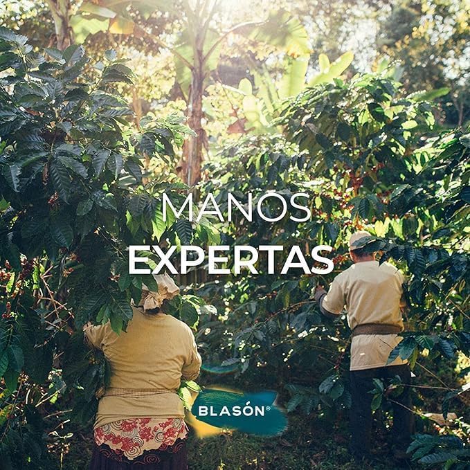 Mexican Blason Pluma Oaxaca Ground Coffee 12 Ounces