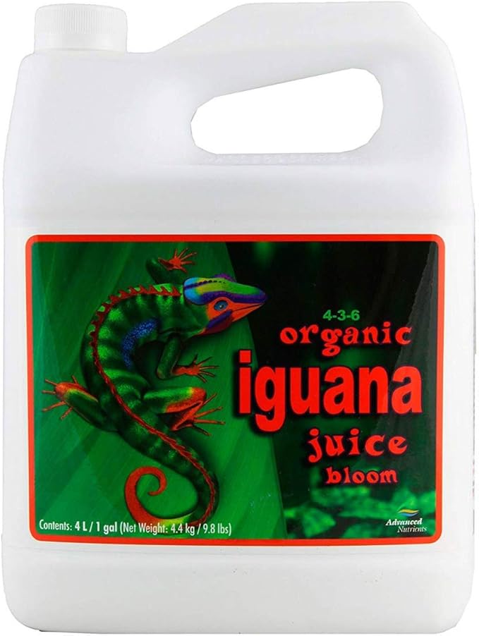Iguana juice organic bloom