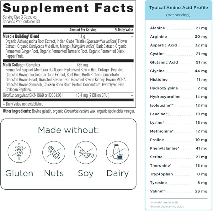 Ancient Nutrition Multi Collagen Advanced Capsules Muscle 90 Count + Multi Collagen Protein Powder Unflavored 45 Servings