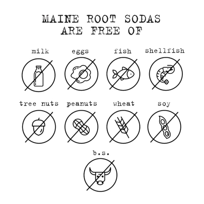 Maine Root Soda - Fair Trade Craft Soda in Glass Bottles (Ginger Beer 12 Pack)