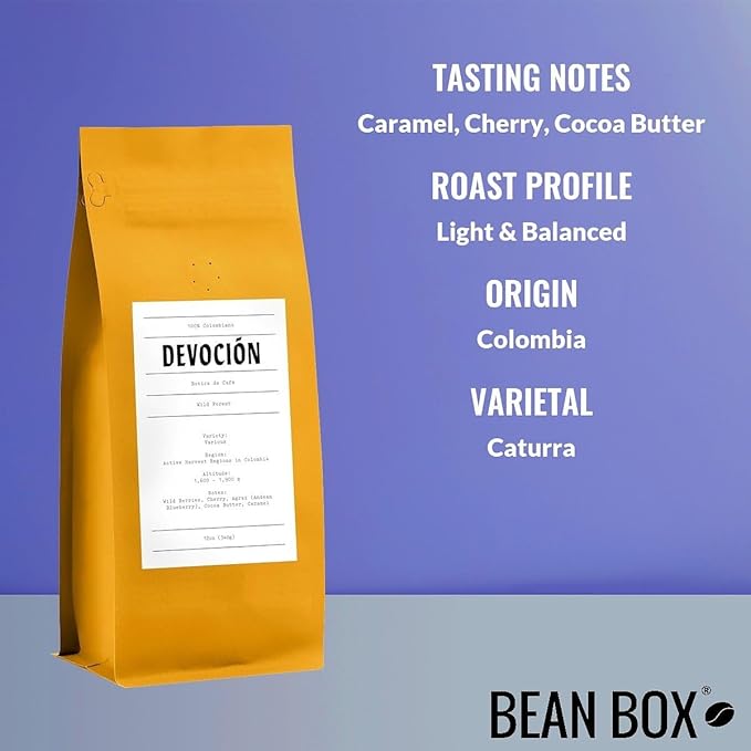Wild Forest - Roasted by Devocion - Freshly Ground Coffee - 12 Ounce Bag
