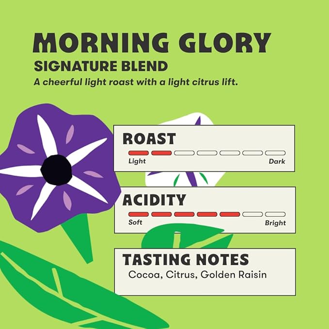 Peace Coffee Morning Glory Signature Blend Light Roast Whole Bean Coffee 5 lb Organic Fair Trade Smooth Mild Flavor Shade Grown Fresh Roasted