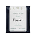 Struttura - Roasted by Camber Coffee - Whole Bean Coffee - 12 Ounce Bag