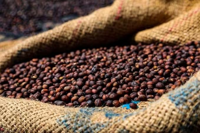 Guatemala Single Origin Coffee | Organic | Medium Roast | Fresh Roasted | Whole Bean | 1lb Pack of 1