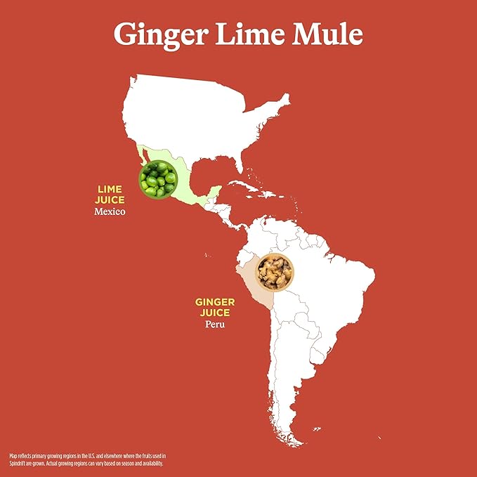 Spindrift Sparkling Water Ginger Lime Mule Flavored Made with Real Squeezed Fruit 12 Fl Oz Cans Pack of 24 (Only 11 Calories per Can)