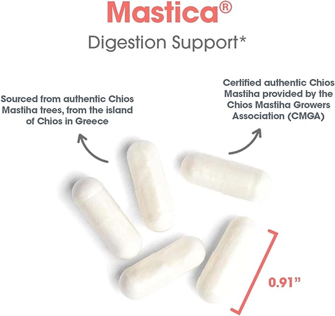 Allergy Research Group ARG Mastica Digestive Support - Supports Digestive Comfort - Delivers 1000 mg Chios Mastic Gum Resin per Serving - Vegetarian &amp Hypoallergenic - 60 Servings - 120 Capsules