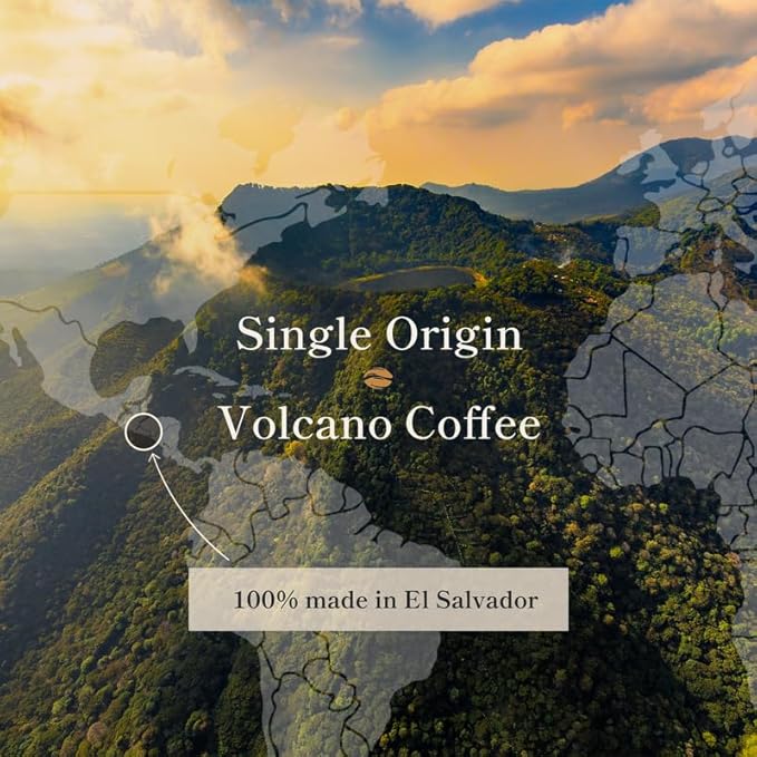 Bean of Fire El Salvador Red Bourbon Honey Ground Coffee – Medium Roast Single Origin Specialty Smooth &amp Fruity Cup (16 oz)