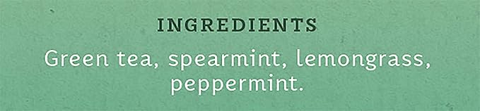 Stash Tea Moroccan Mint Green Tea - Caffeinated Non-GMO Project Verified Premium Tea with No Artificial Ingredients 30 Count (Pack of 6) - 180 Bags Total