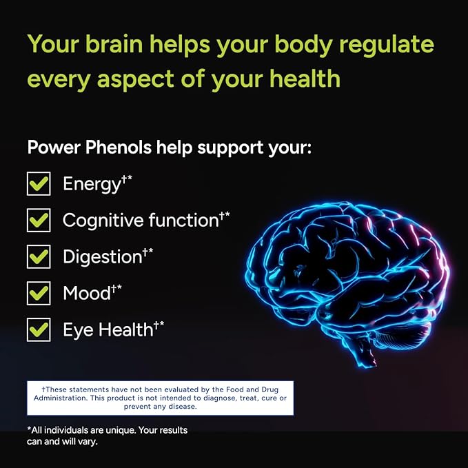 Gundry MD Power Phenols Brain Health Supplement for Cognition Focus Motivation Productivity and Energy - (30 Servings)