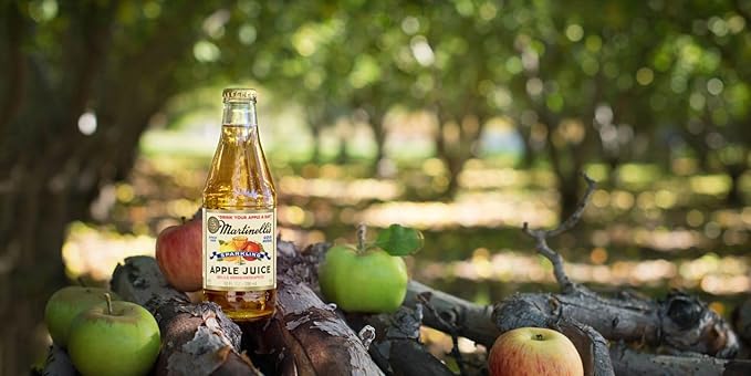 Martinelli's Sparkling Apple Juice 10 Ounce (Pack of 12)