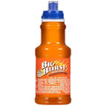 Big Burst Orange Drink 16 Fluid Ounce -- 24 per case.
