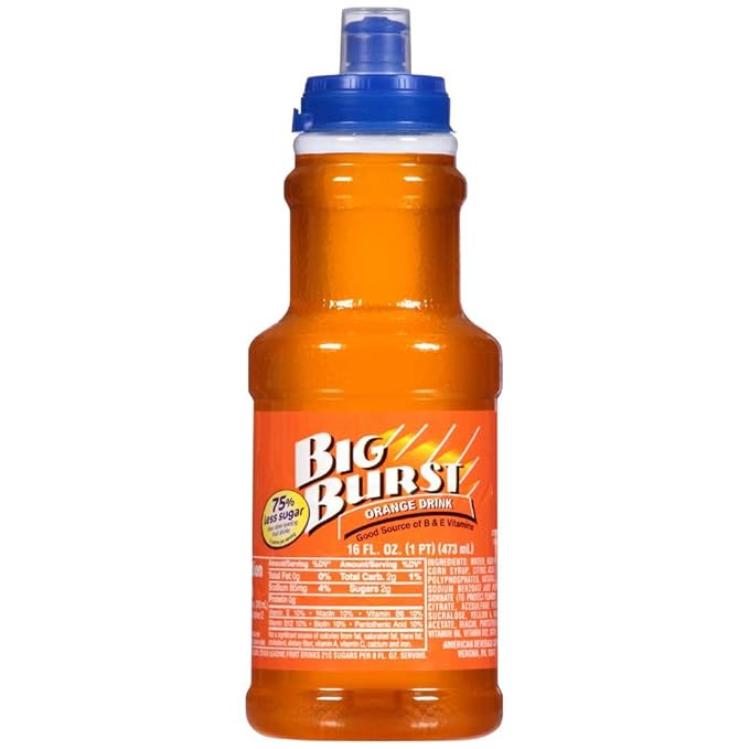 Big Burst Orange Drink 16 Fluid Ounce -- 24 per case.