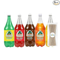 Jarritos Variety Collection Mexican Soft Soda Drink Flavors May Vary 1.5 Lt Plastic Bottles 5-Pack + 15 Sugarcane Disposable Straws by KOOL8SHOP Infinite Deals