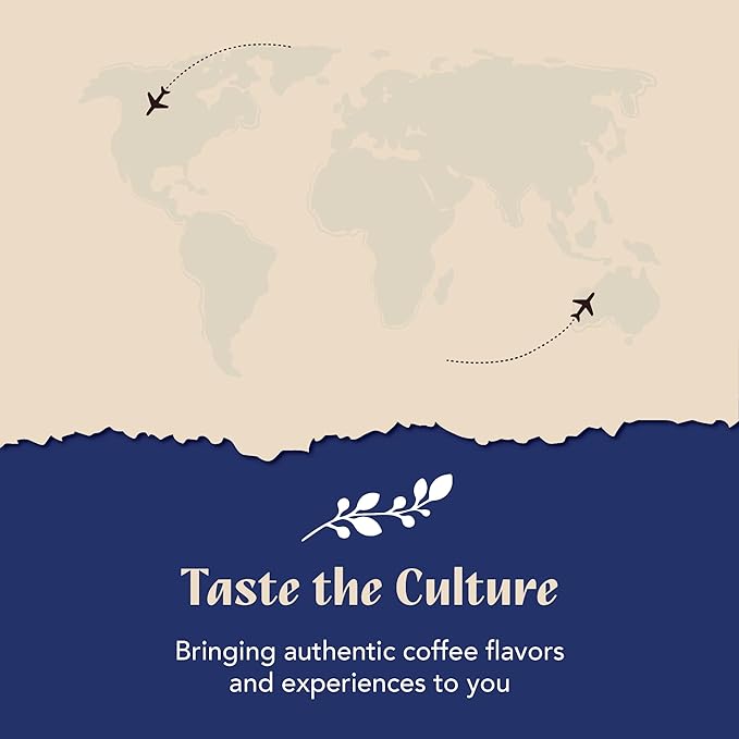 Culturi Coffee | Moroccan Spice | North African Influenced Low Calorie Authentic Flavored North African Coffee 11oz Can (12 Count)