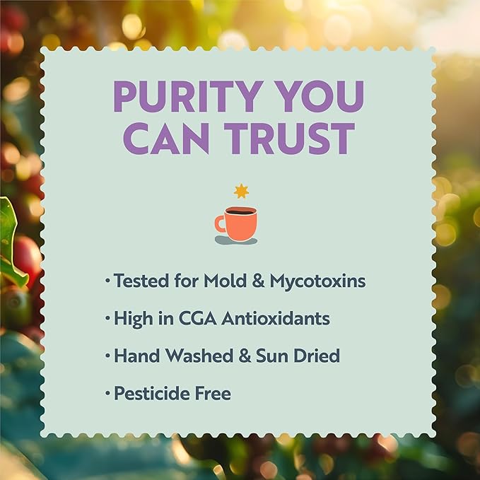 Clean Coffee Co. - Low Acid Medium Roast Tested for Molds and Toxins Costa Rica Blend Notes of Milk Chocolate Roasted Nuts Toasted Malt (Ground 12 oz Bag)
