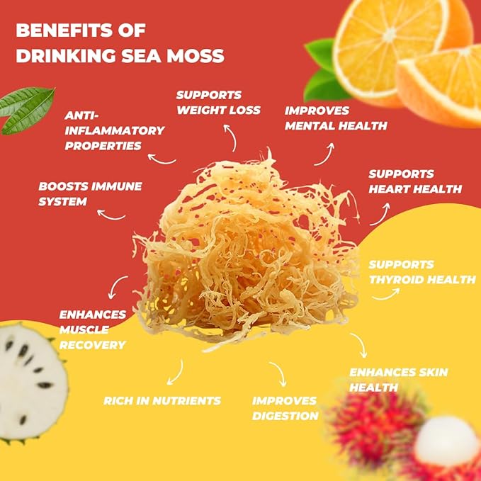 Nourish Kings- Sea Moss drink with Rambutan Soursop &amp Orange juice No Added Sugars or Preservatives 12 pack of 15.2 Fl oz Bottles