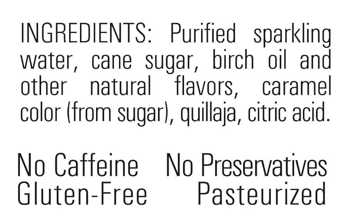 GuS - Grown-up Soda Dry Root Beer 12 Fluid Ounce (Pack of 12)
