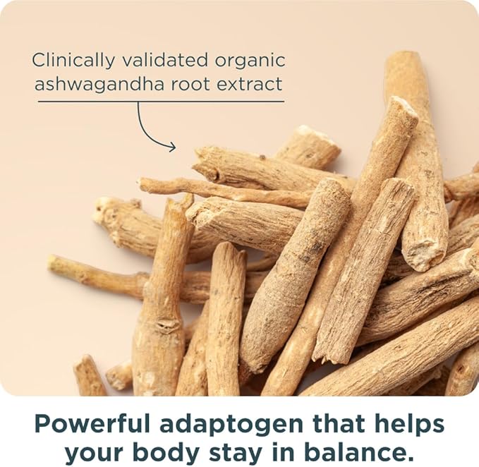 Ancient Nutrition Women’s 50+ Multivitamin with Ashwagandha – Menopause Support for Hot Flashes Sleep Mood Energy &amp Hormonal Balance – 21 Vitamins &amp Minerals – 30 Servings
