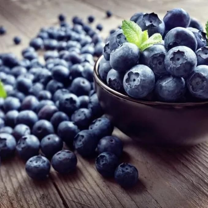 Natural Blueberry Juice Organic Additive-Free Authentic Turkish Product 1000 ml/33.8 fl oz - PACK OF 6