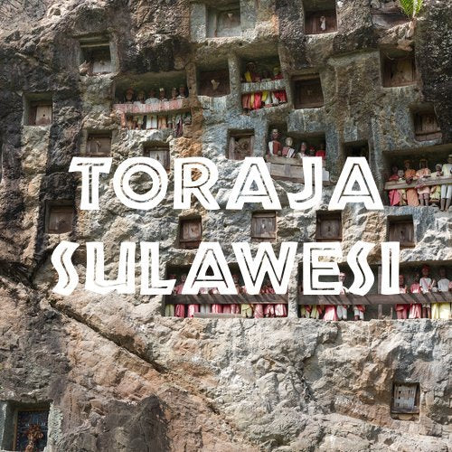 Toraja Sulawesi White Eagle Coffee Fair Trade Ground Fresh Roasted 5 lbs