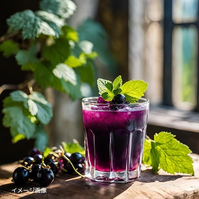 zyahumakku 醗酵 Blackcurrant (Beverage) 565ml X 4 Piece Set
