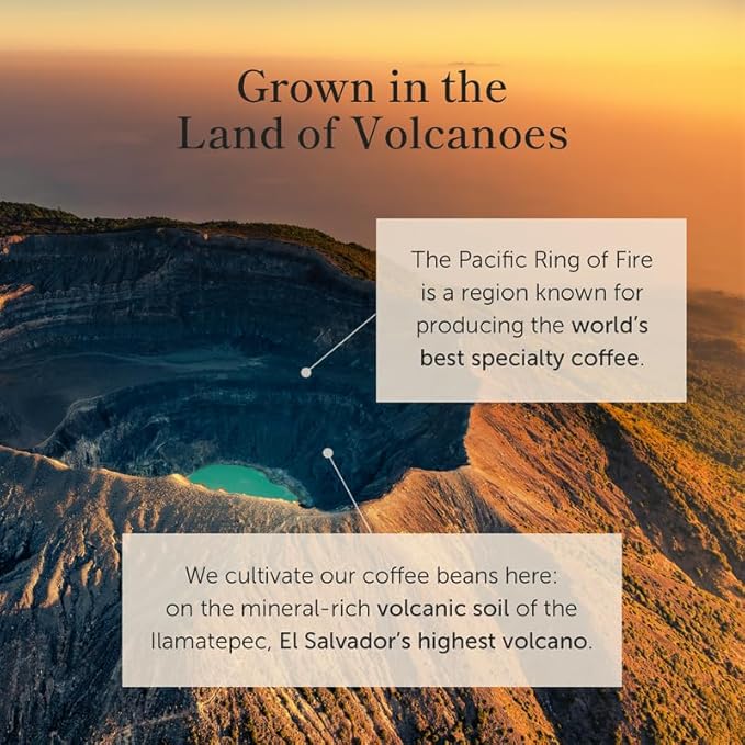Bean of Fire El Salvador Red Bourbon Honey Ground Coffee – Medium Roast Single Origin Specialty Smooth &amp Fruity Cup (16 oz)