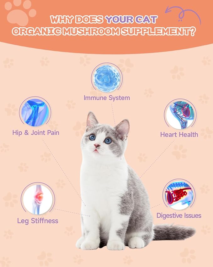 Collagen for Cats &amp Dogs - Liquid Grass Fed Collagen for Cat &amp Dogs - Hip &amp Joint Skin &amp Coat Digestive Function - with MSM Hyaluronic Acid Biotin - Roast Chicken Flavor