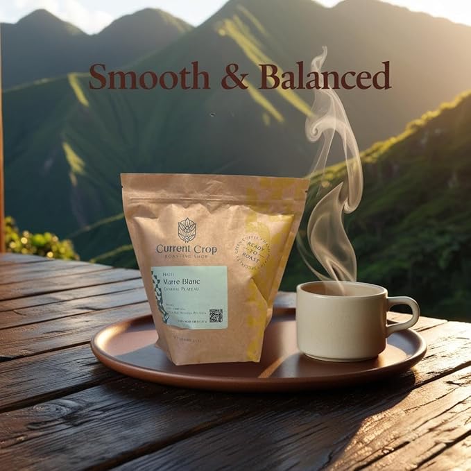 Current Crop Roasting Shop Haiti Marre Blanc Coffee Beans – Central Plateau Haitian Coffee – Smooth &amp Balanced Profile with Almond &amp Peanut Notes 3 lb bag
