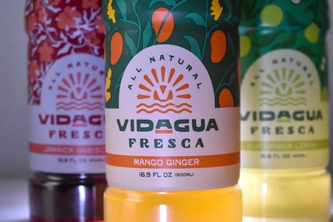Vidagua Agua Fresca Jamaica Hibiscus Ready-to-Drink Fruit Beverage 16.9 fl oz Bottles Pack of 12