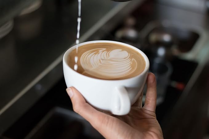 Buddy Brew Coffee Old Florida Roast- Medium Roast Whole Bean - Sustainably Sourced in Brazil &amp Colombia-2lb Bag GREAT VALUE-Specialty Grade Coffee- well balanced wtih notes of CitrusSugarcane &a