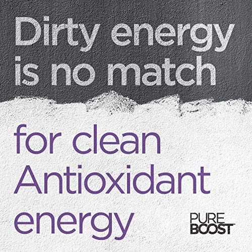 Pureboost Clean Energy Booster Refreshing Energy Drink Mix with B12 Vitamins Electrolytes Antioxidants Sugar-Free with No Sucralose (Acai Alert 30 Count)
