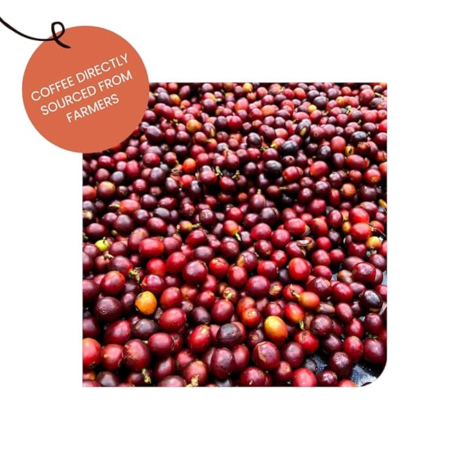 Concepcion Buena Vista - Red Bourbon and Caturra SHB | Whole Beans | 100% Arabica Coffee from Guatemala's Chimaltenango Region | Perfect for Any Brewing Method (Whole Bean 380 Grams)