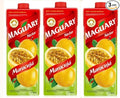 Suco Nectar de Maracujá Brasileiro Maguary 1 L - Pack of 3x1 L - Brazilian Passion Fruit Juice