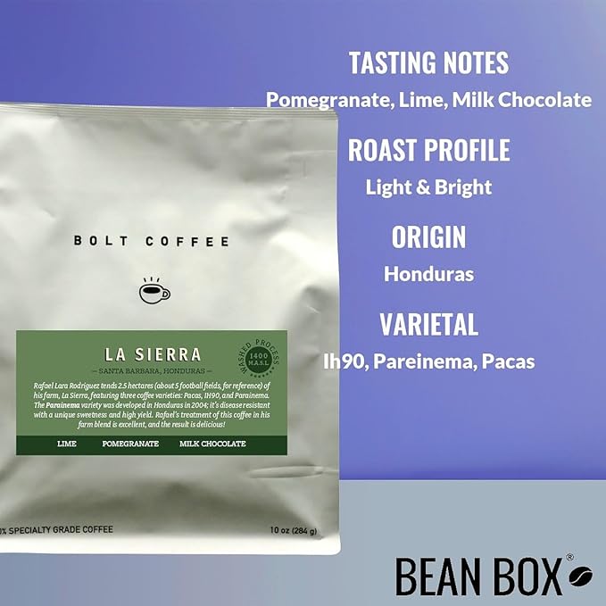 Bean Box Coffee Sampler - Roasted by Bolt 4-Pack Whole Bean Coffee Gourmet Coffee