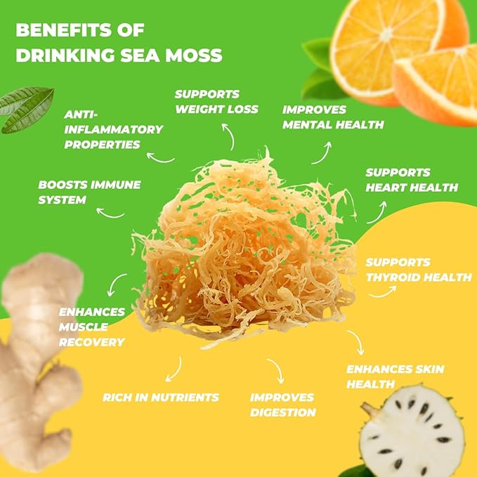 Nourish Kings- Sea Moss drink with Soursop Ginger &amp Orange juice No Added Sugars or Preservatives 12 pack of 15.2 Fl oz Bottles
